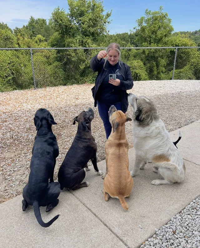 Big yard group romp