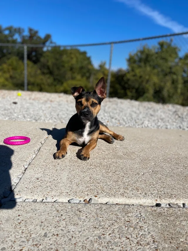 Tug of war