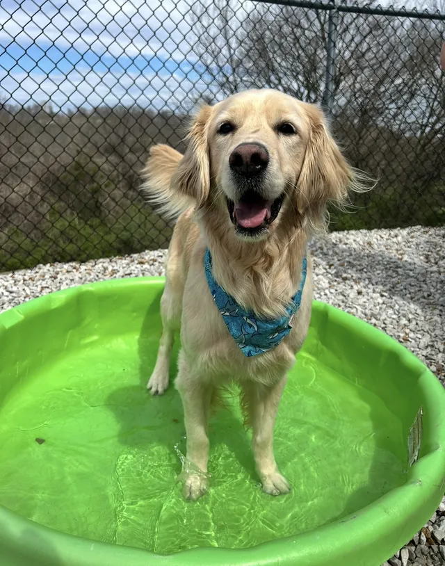 Splash pool
