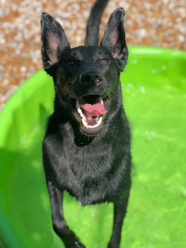 Splash pool fun